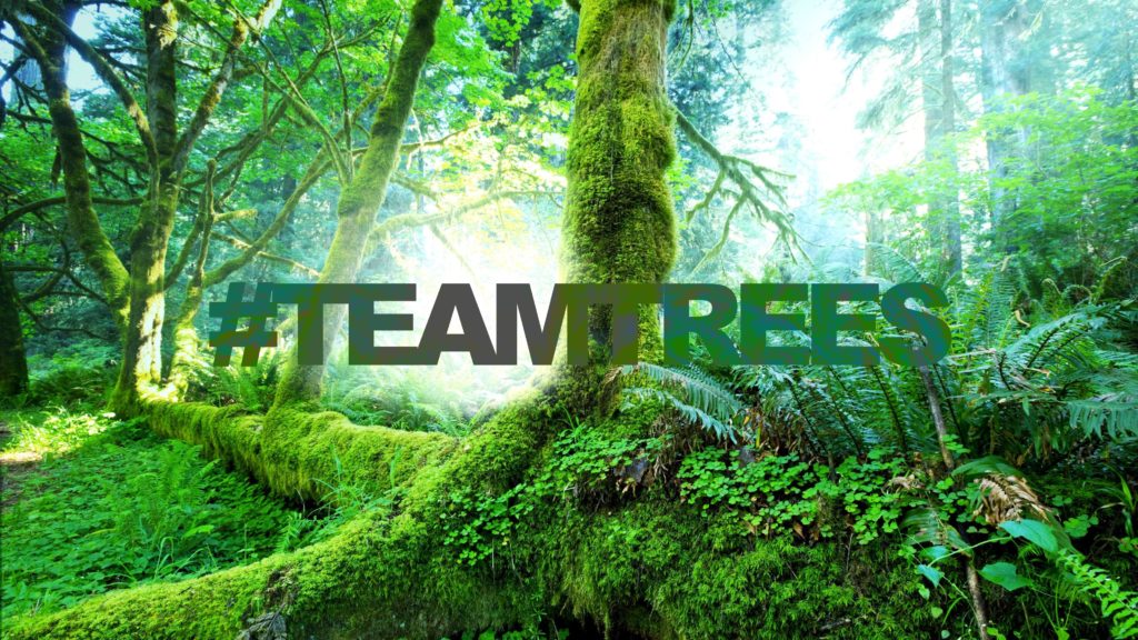 "Team Trees" Challenge Aims to Help the Environment Veritas News