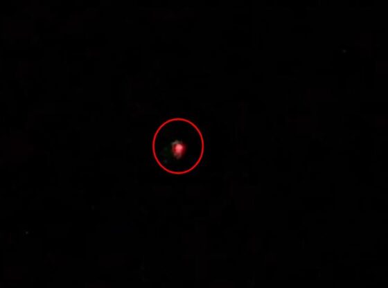 A small blurry red object in the center of a black background, circled in red.