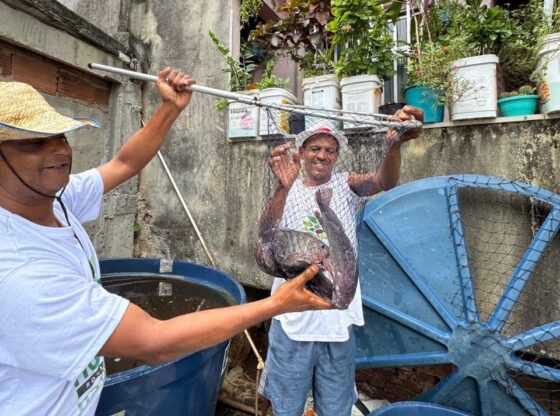 Rocinha residents collect fish raised in water tanks on their rooftops for their own consumption. Photo: Lucas Euller