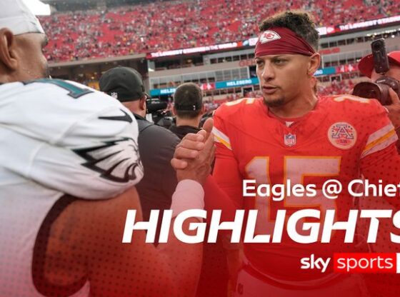 eagles