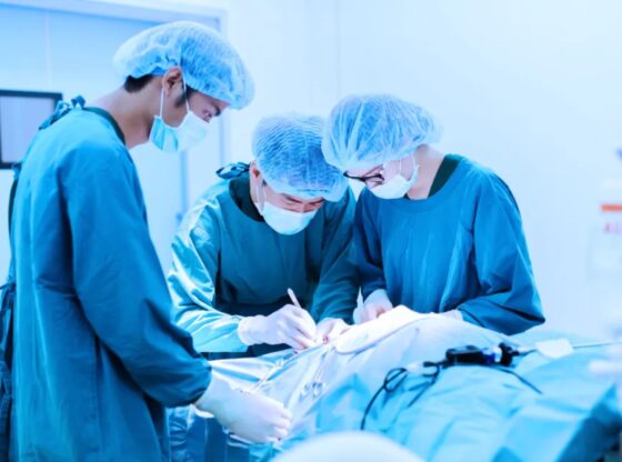 An image collage containing 1 images, Image 1 shows veterinarian surgeons take with blue filter
