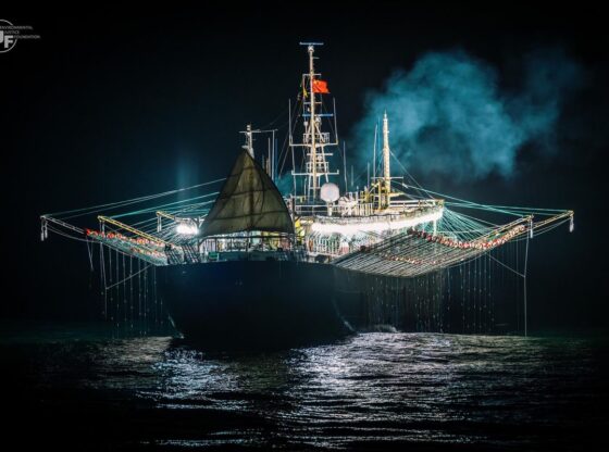 A boat fishing illegally in international waters near Argentina
