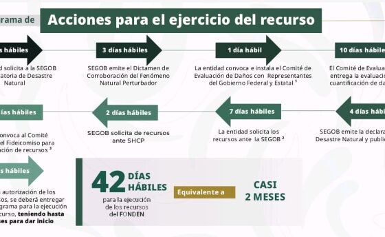 Fonden bureaucratic procedure