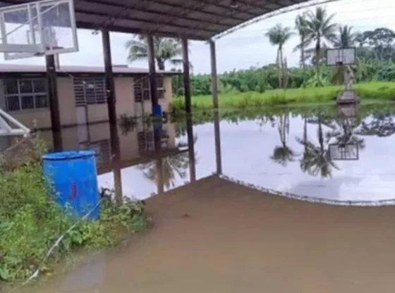 SEP reported that 182,610 students from 2,442 schools of all levels in states affected by rains will return to classes.