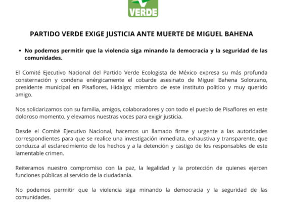 Green Party Statement