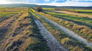 Embankment of a Roman road in the Losa valley.