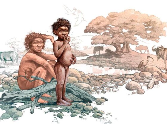 Artist's recreation of an infant 'Homo erectus' in the Ethiopian highlands two million years ago.
